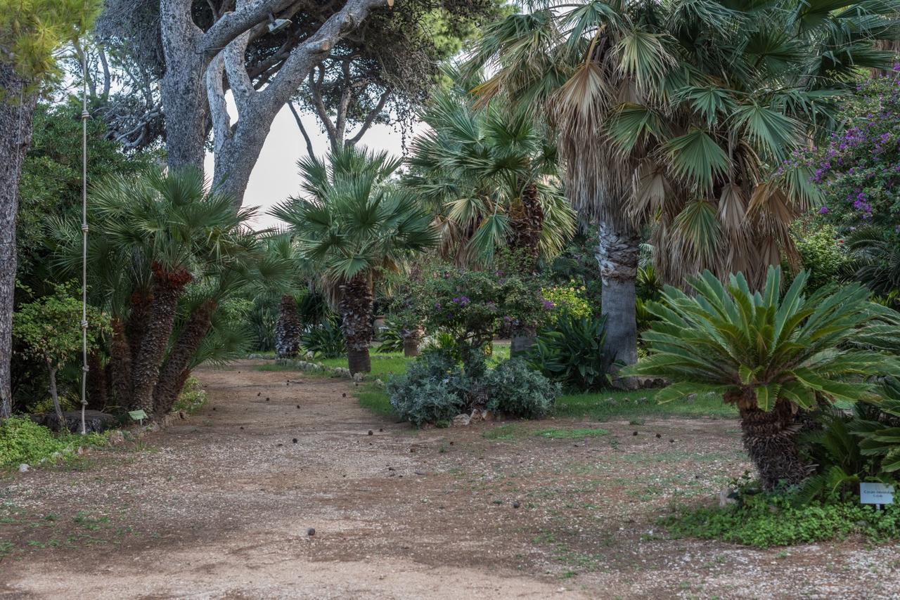 Azienda Agrituristica Tenuta Pizzolungo Ериче Екстер'єр фото