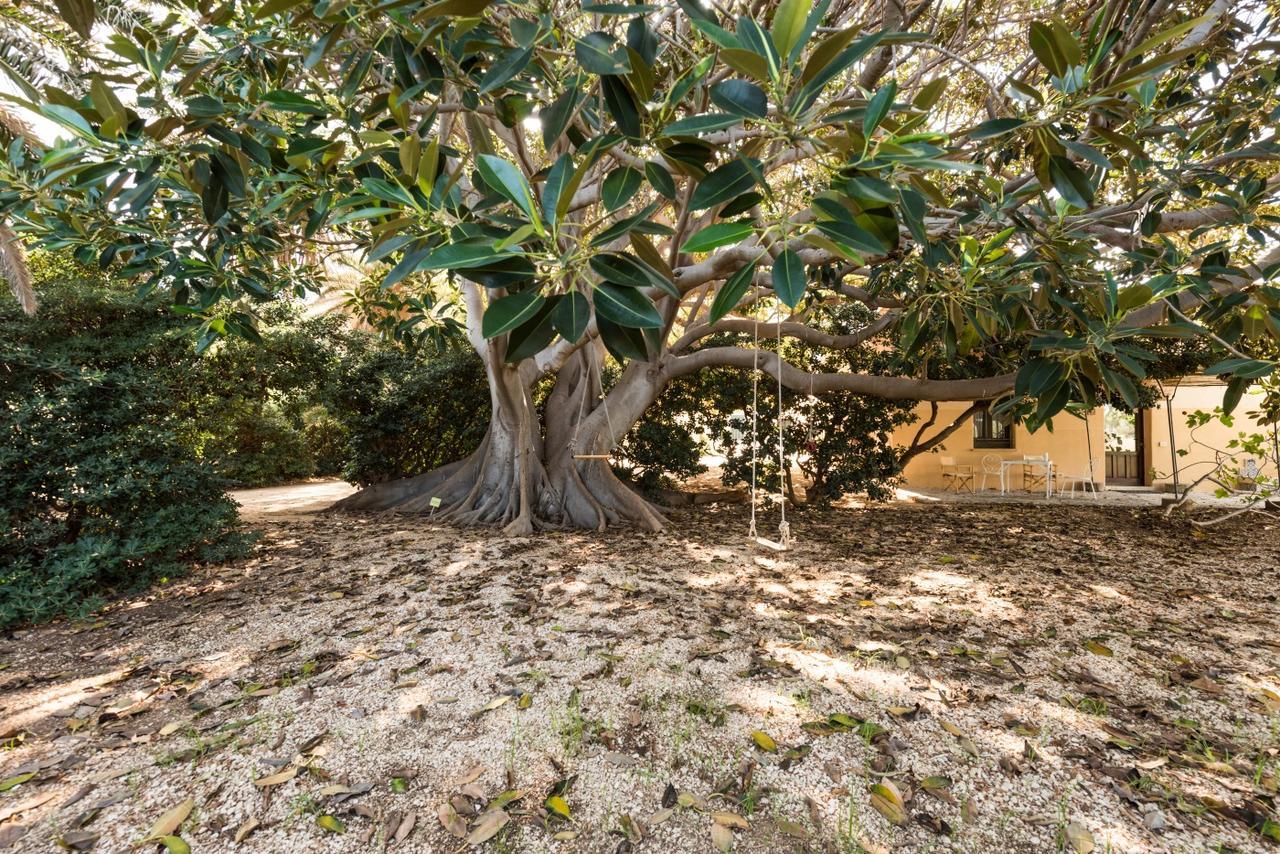 Azienda Agrituristica Tenuta Pizzolungo Ериче Екстер'єр фото