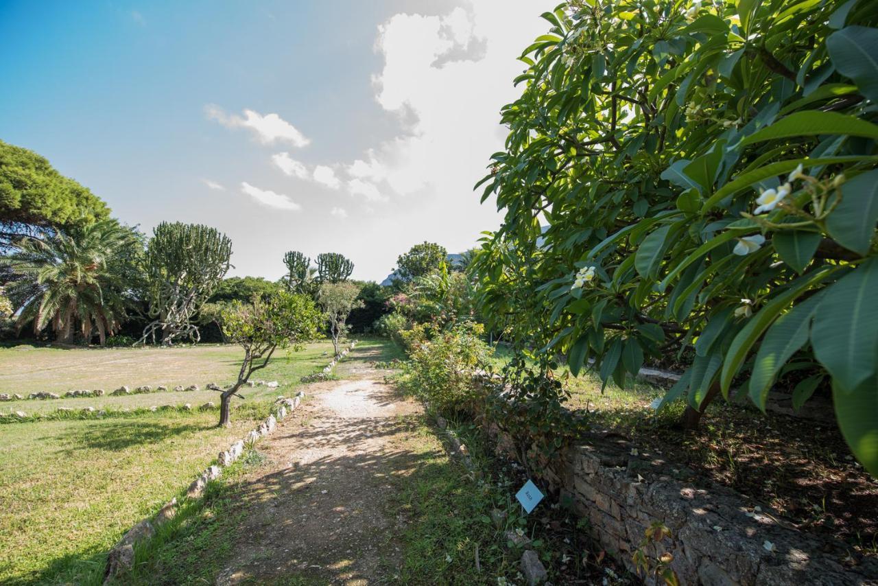 Azienda Agrituristica Tenuta Pizzolungo Ериче Екстер'єр фото